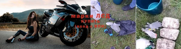 кокс Аркадак