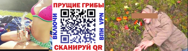 Галлюциногенные грибы мухоморы Лахденпохья